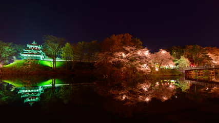 Cherry blossoms at the Takada Park and the Takada Castle in Joet