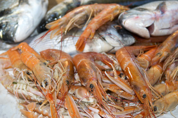 fresh fish of the mediterranean