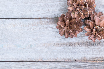 Pine cones on wood background