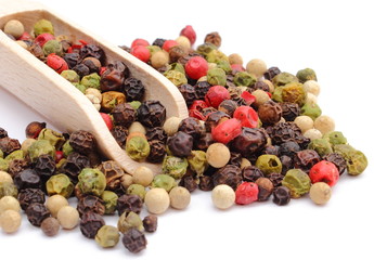 Colored pepper on wooden spoon. White background