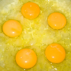 image of five eggs in a frying pan