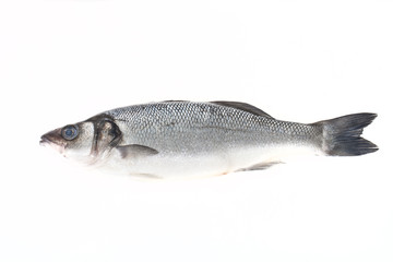 Fototapeta premium fresh sea bass on a light background
