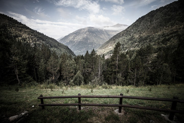 Forested valleys between the mountains. andorra