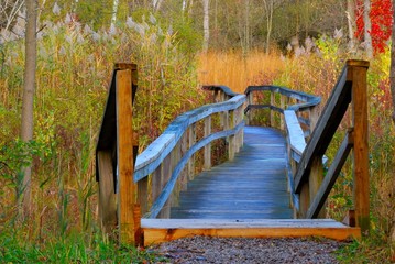 Nature Trail