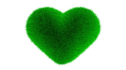 Heart symbol made of grass