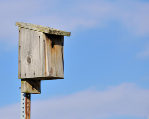 Bluebird Nesting Box