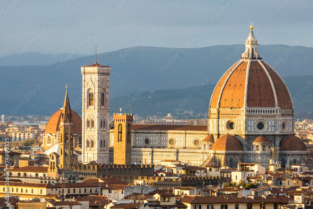 Wall mural florence, cathedral and cityscape from piazzale michelangelo.