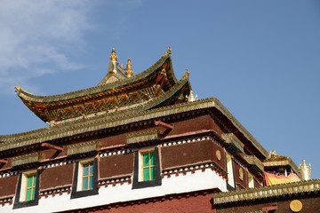 Fototapeta na wymiar Tibetian Mango monastery