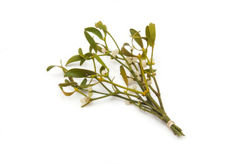 Bunch of mistletoe isolated on a white studio background.