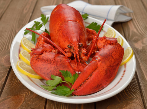 Boiled lobster