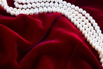 red velvet background with pearls