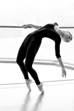 Ballet Dancer