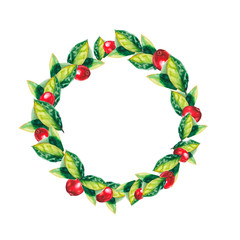 Naklejka premium watercolor leafs and rasbarry wreath