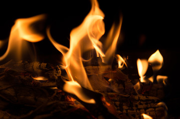 Fototapeta premium blaze fire flame texture background