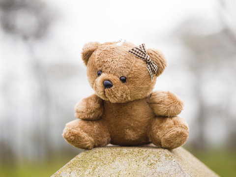 TEDDY BEAR brown color sitting on outdoor