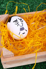 Eggs in wooden box on green background