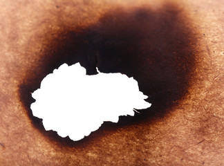 Burned paper as background