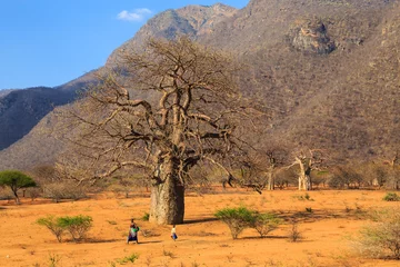 Foto auf Acrylglas Woman and child walking through a baobab valley © pwollinga