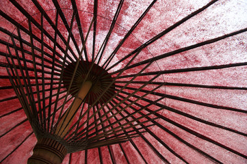 Traditional Asian Oil Paper Umbrella Background