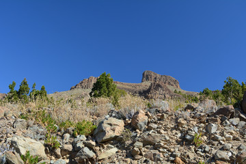 Landscape of Teide National Park. Tenerife, Canary Islands