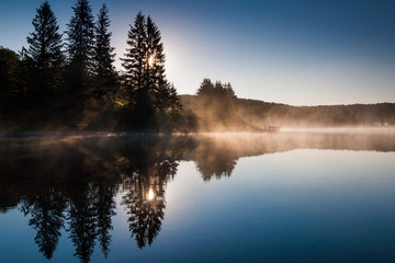 Fototapeta na wymiar The sun shines through pine trees and fog at sunrise, at Spruce
