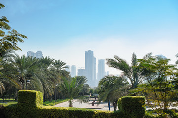 beautiful green park on the background of skyscrapers houses © timonko