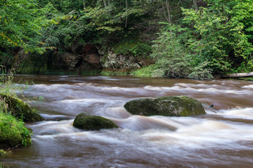 mountain river in summer surrounded by forest