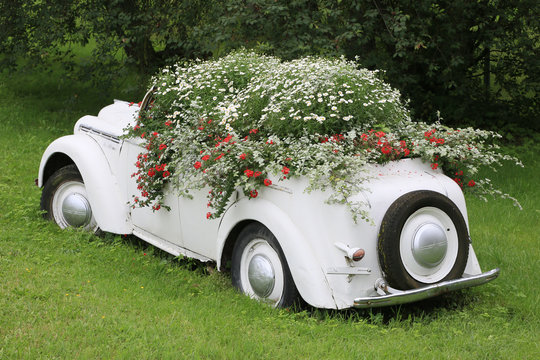 weisser Oldtimer als Blumenbeet II