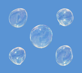 five soap bubbles isolated on blue