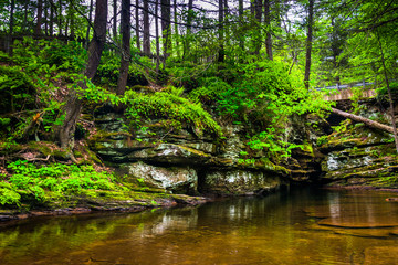 A pool at the top of Adam's Falls, at Ricketts Glen State Park,