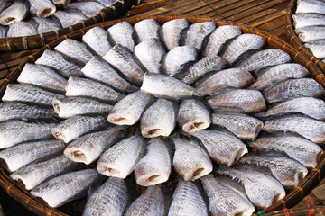 Dried fishes