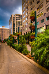 Obraz na płótnie Canvas Buildings and landscaping along a street in Orlando, Florida.
