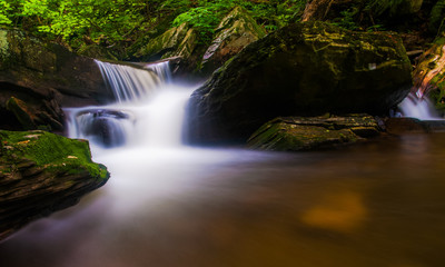 Cascade on a stream in Rickett's Glen State Park, Pennsylvania.