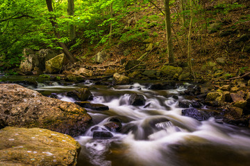 Fototapeta premium Cascades on Antietam Creek near Reading, Pennsylvania.
