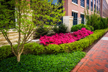 Colorful trees and bushes along a sidewalk in downtown Richmond,