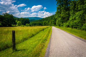 Fototapeta na wymiar Farm field along a road in the rural Potomac Highlands of West V