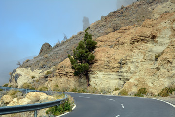 Landscape of Teide National Park. Tenerife, Canary Islands