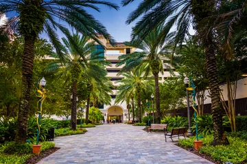 Fototapeten Palm trees along a walkway in downtown Saint Petersburg, Florida © jonbilous