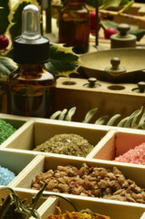 Herbalism Herboristerie Herbología Herbalismo Erboristeria