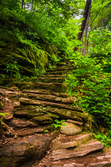 Rock staircase on a trail at Rickett's Glen State Park, Pennsylv