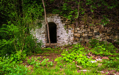 Ruins of an old house near Reading, Pennsylvania.