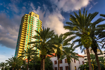Fototapeta na wymiar Skyscraper and palm trees in Saint Petersburg, Florida.
