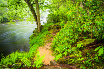 Trail along the Gunpowder River, near Prettyboy Reservoir in Bal