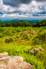 Boulder in a meadow and view of Old Rag Mountain at Thoroughfare