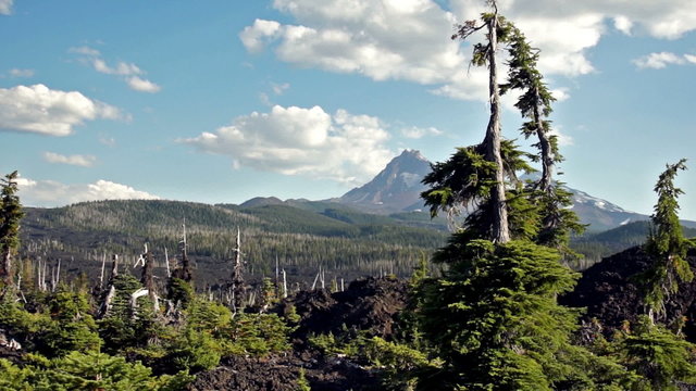 Drive Along McKenzie Pass Three Sisters Cascade Range Lava Field
