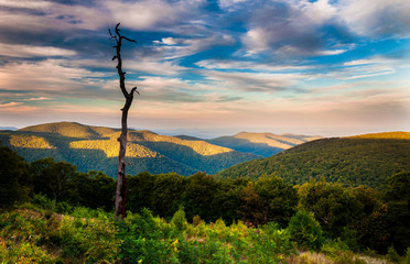 Obraz premium Evening view of the Appalachians from Thoroughfare Overlook, alo