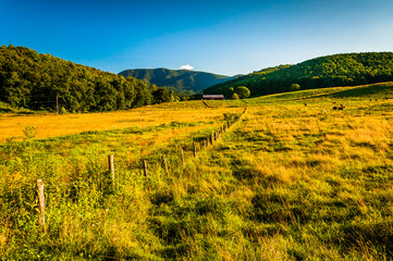 Pasture and view of the Blue Ridge Mountains in the Shenandoah V