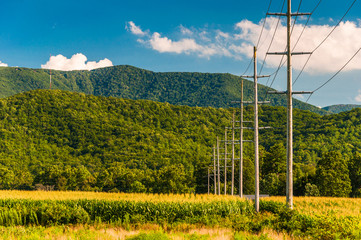 Power lines and view of the Blue Ridge Mountains in the Shenando