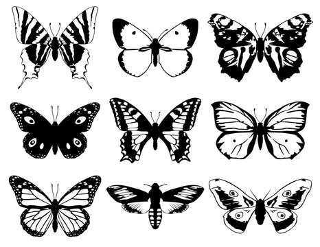 Set of butterflies silhouette with open wings.