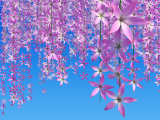 Obraz na płótnie Canvas flowers on a sky background